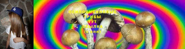 спиды Козловка